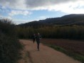 /album/estella-los-arcos-training-/a20141116-100327-jpg/